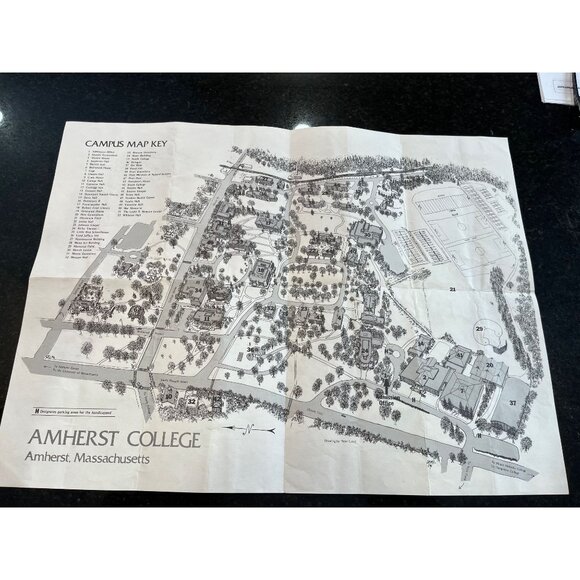 Vintage 1982 Amherst College Drawing By Peter Laird TMNT Fame 18" x 1 - Picture 3 of 9